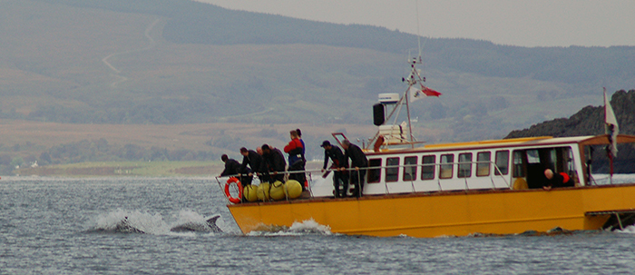 Irresistible dive boat