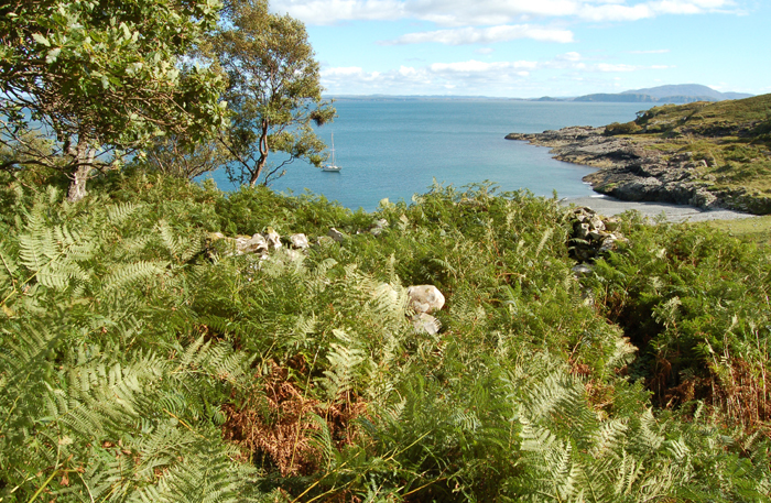 Above Port Ohirnie on the S. Coast of Mull