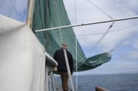 The Grey Kite