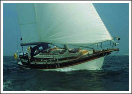Golden Hind 31